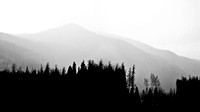 Estes Park Silhouette, Arapaho National Forest, Colorado, black and white, photography, photograph, photographer
