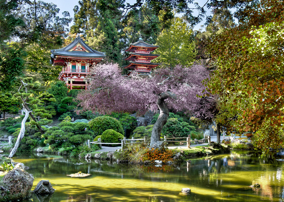 Japanese Gardens - Golden Gate Park, San Francisco