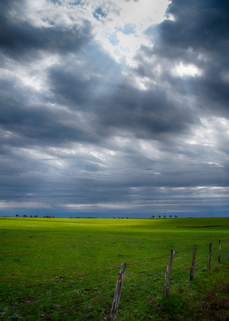 "Spring Grass", storms, farm, farmland, photography, photographer, photograph