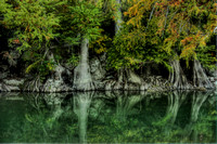 "Guadalupe Trees", Guadalupe, "Guadalupe River", "New Braunfels", HDR, river, "cypress trees", photography, photograph, photographer