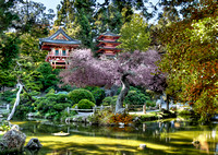 HDR, "Japanese Gardens", "San Francisco", photograph, photography, photographer
